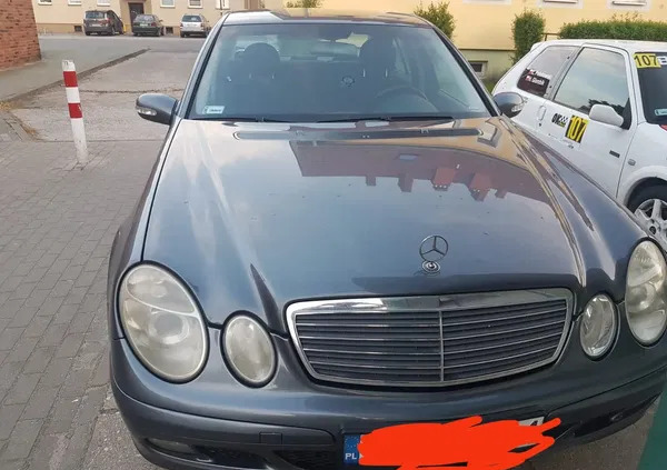lubuskie Mercedes-Benz Klasa E cena 19900 przebieg: 310287, rok produkcji 2005 z Wisła